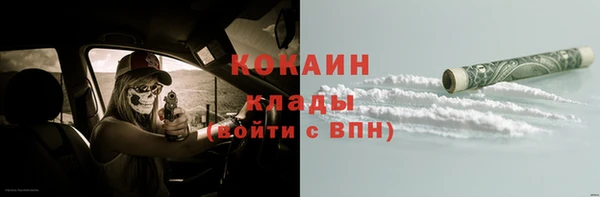 стаф Пересвет