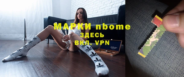 стаф Пересвет